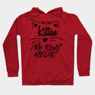 Are You Kitten Me Right Meow Hoodie